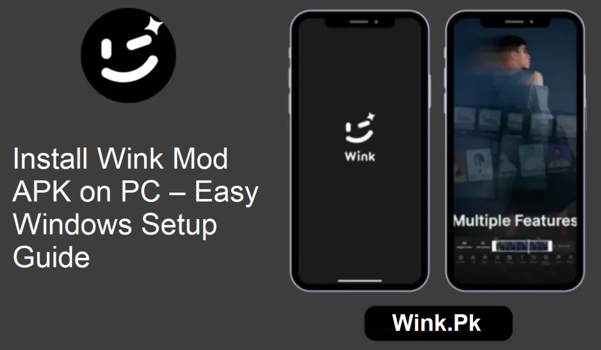 Wink Mod APK Windows