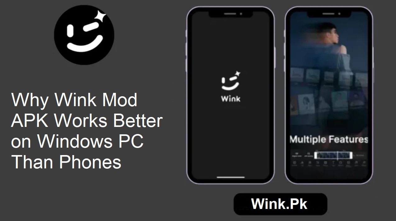 Wink Mod APK for PC