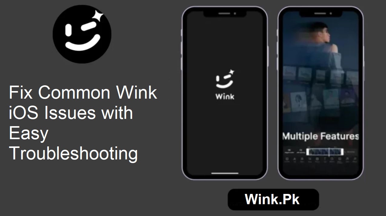 Wink iOS Problems Fix
